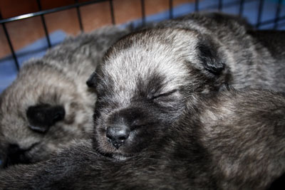 Snoozin'!