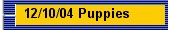 12/10/04 Puppies