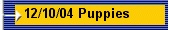 12/10/04 Puppies